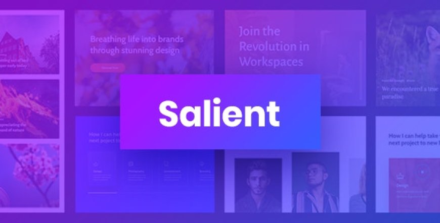 Salient v13.0.5 – Responsive Multi-Purpose Theme Download