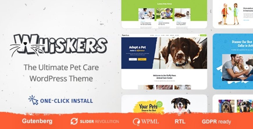 Whiskers v1.0.7 – WordPress Pets Store Themes – WordPress PetSHop Teması İndir